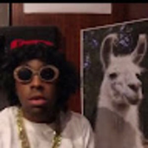 Meet your Posher, Leini